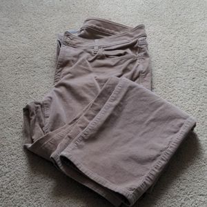 Ann Taylor Loft Khaki Corduroy size 31/12